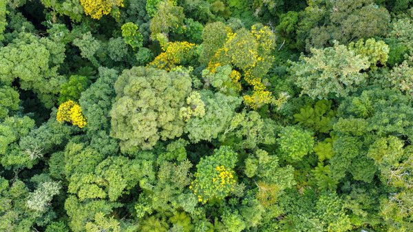 L'Impact Crucial des Médecins Généralistes en Matière de Prévention Médicale
