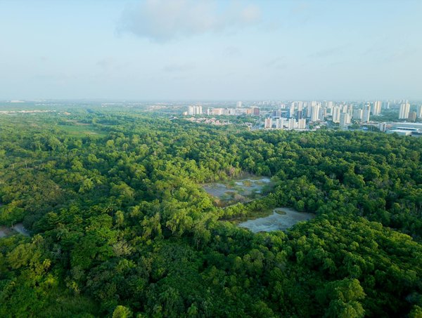 Les prénoms dévoilés : exploration des regrets des parents sur france tv